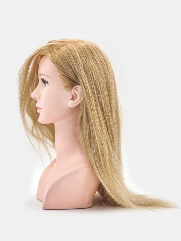 Конкурсная голова-манекен 100% натуральные волосы с плечами, 45-50 см, Золотисто-русый